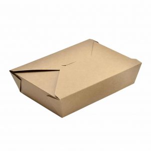 Χάρτινo κουτί Kraft (φάκελος)