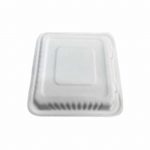 Σκεύος ζαχαροκάλαμου 20x20x6.5cm Μερίδας / menu - σετ των 50 τμχ