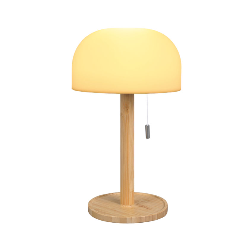 25-9824-850x850h epitrapezio-xylino-fotistiko-led-usb